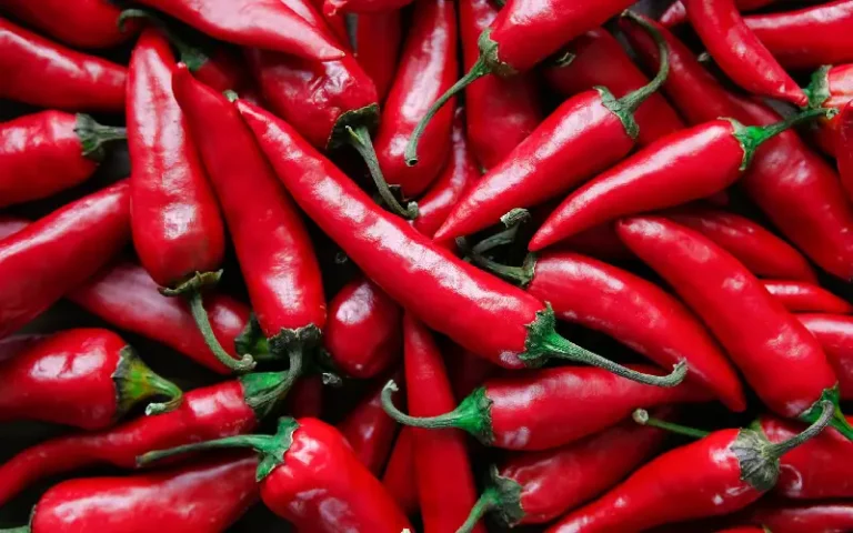 spicy foods